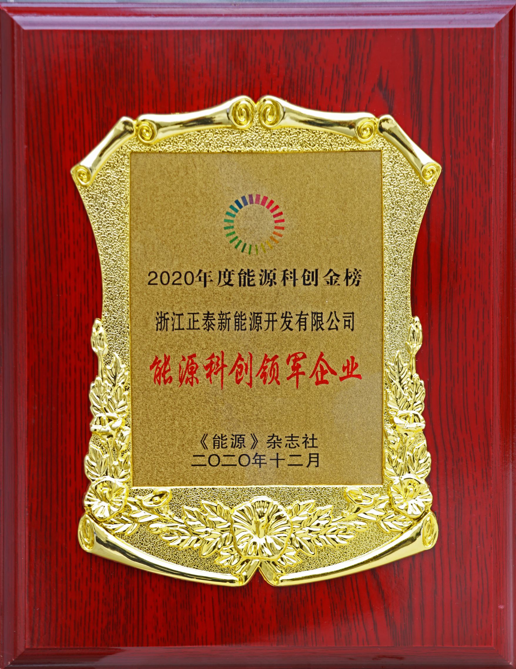 1608277613269723.jpg